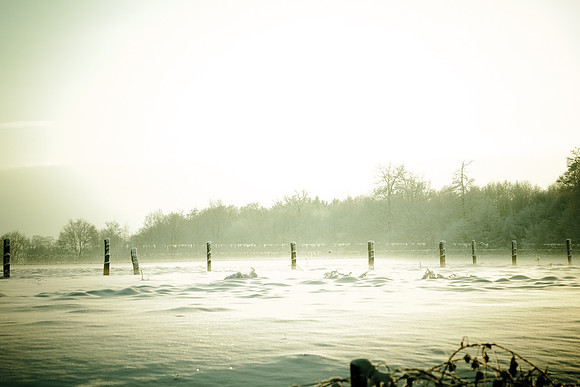 winterlandschaft_20101218_125-2