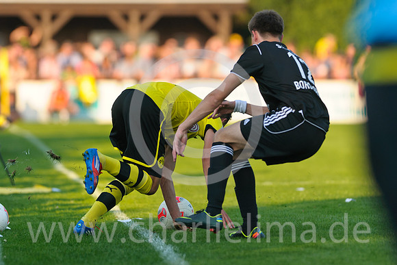 borghorst_bvb_20120904_876