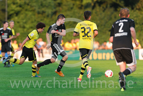 borghorst_bvb_20120904_1235