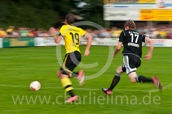 borghorst_bvb_20120904_601