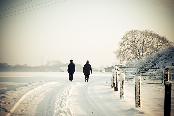 winterlandschaft_20101218_137