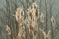 bagno_20110302_024