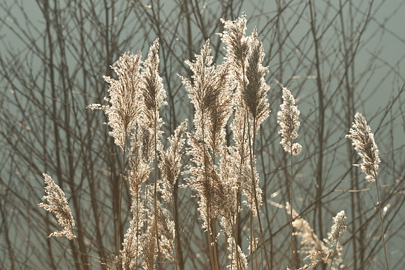 bagno_20110302_024