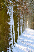 winterlandschaft_20101218_091