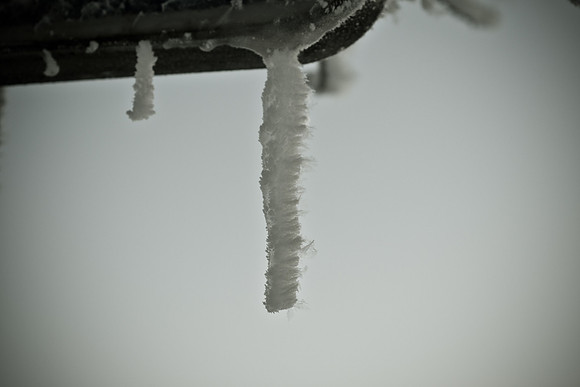 winterlandschaft_20101218_196-2