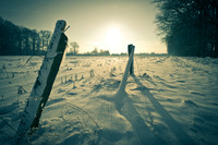 winterlandschaft_20101218_018