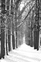 winterlandschaft_20101218_087