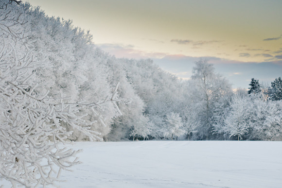 winterlandschaft_20101218_197-2