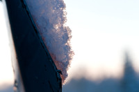 winterlandschaft_20101218_141