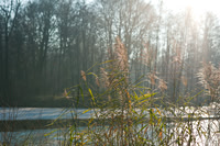 winterlandschaft_20101128_063