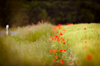 05-2011_035