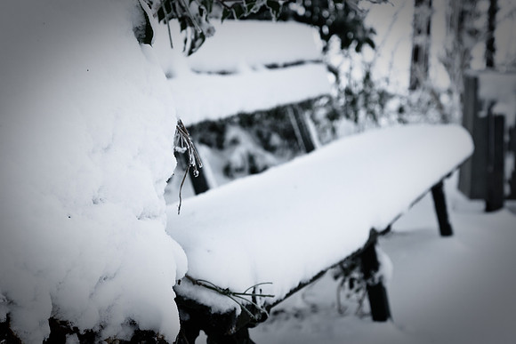 winterlandschaft_20101218_201-2