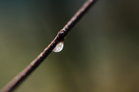winterlandschaft_20101128_029-2