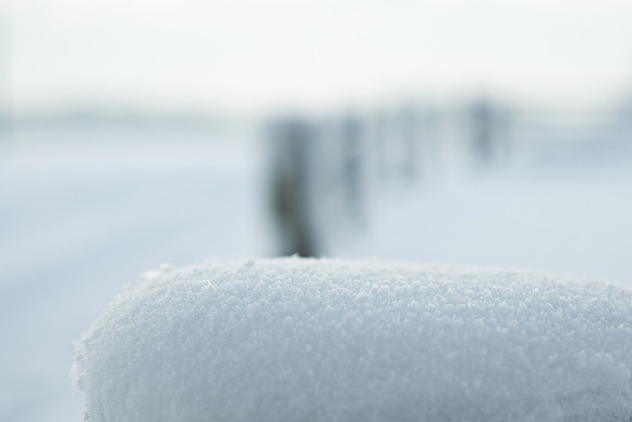 winterlandschaft_20101218_218-2