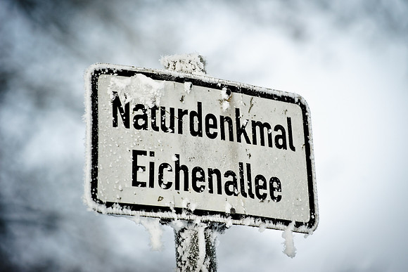 winterlandschaft_20101218_163-2