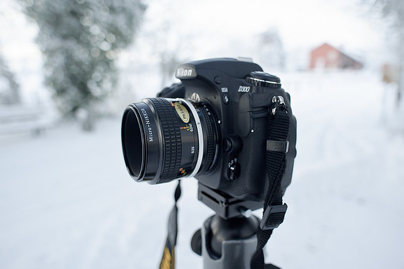 winterlandschaft_20101218_184-2