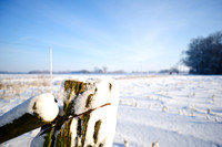 winterlandschaft_20101218_019