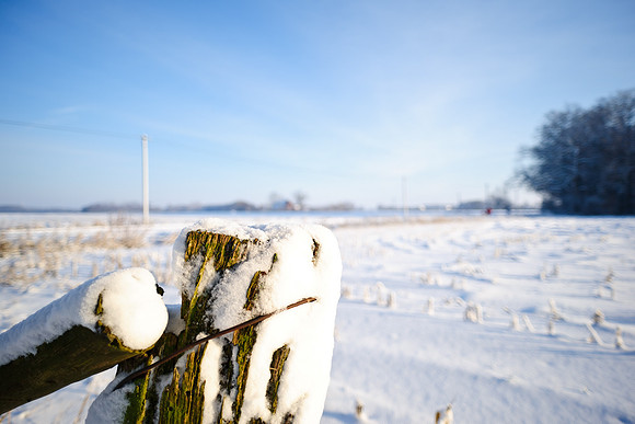 winterlandschaft_20101218_019