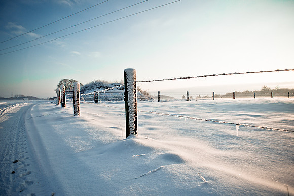 winterlandschaft_20101218_073