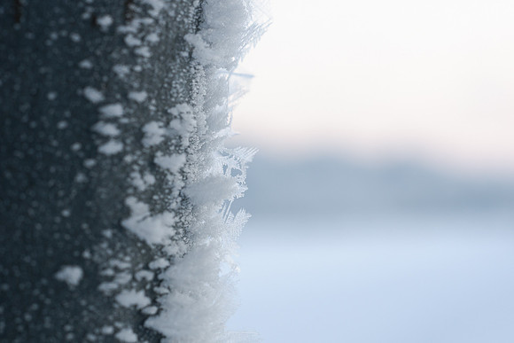 winterlandschaft_20101218_194-2