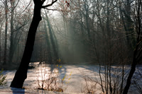 winterlandschaft_20101128_040
