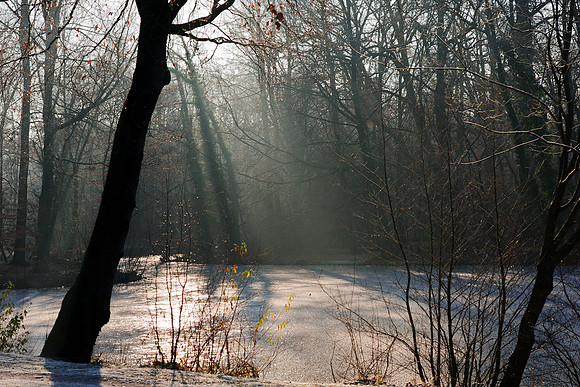 winterlandschaft_20101128_040