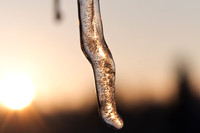 winterlandschaft_20101218_143