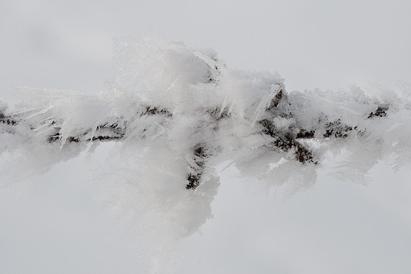 winterlandschaft_20101218_216-2