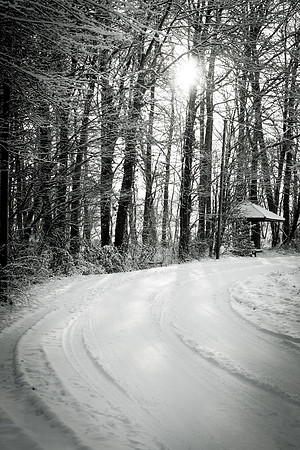 winterlandschaft_20101218_101