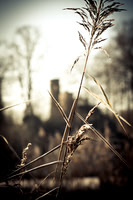winterlandschaft_20101128_064