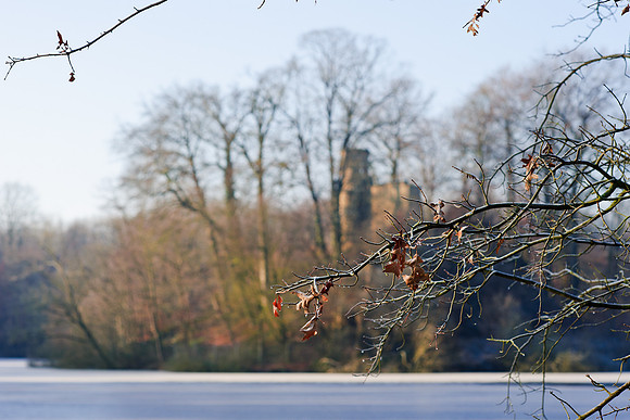 winterlandschaft_20101128_043