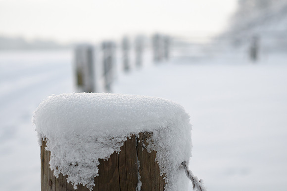 winterlandschaft_20101218_217-2