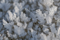 winterlandschaft_20101128_004
