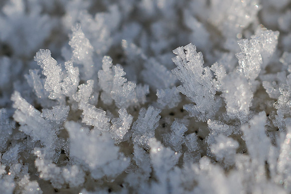 winterlandschaft_20101128_004