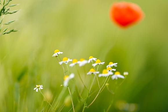05-2011_049
