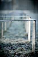 winterlandschaft_20101128_118