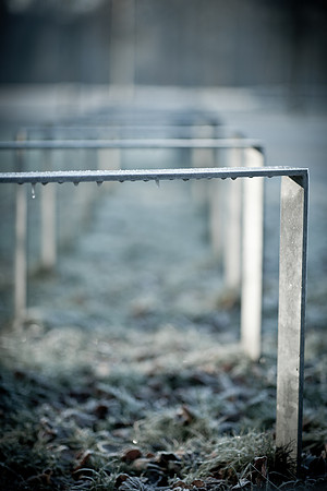 winterlandschaft_20101128_118
