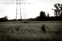 05-2011_062