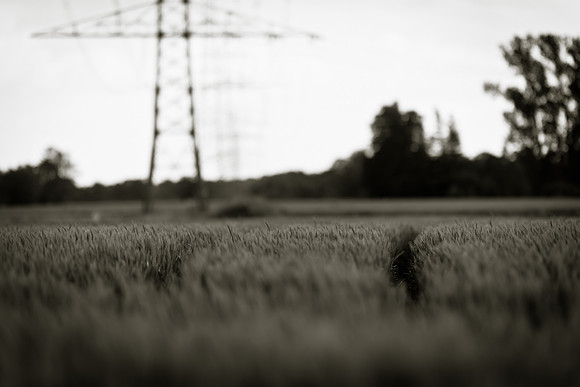 05-2011_062