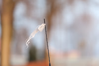 01-2011_011