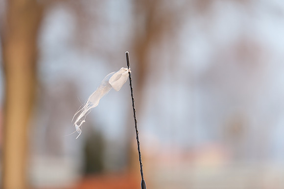 01-2011_011
