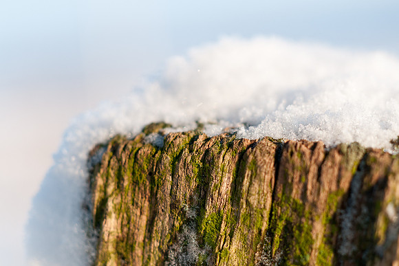 winterlandschaft_20101218_084
