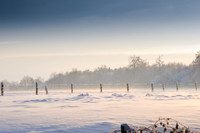 winterlandschaft_20101218_125