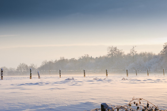 winterlandschaft_20101218_125