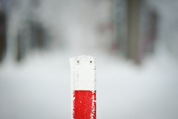 winterlandschaft_20101218_164-2
