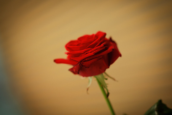 photokina_2010_152