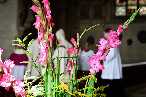 muenster_20100911_112